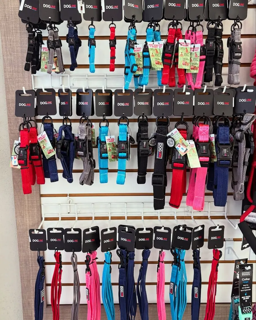 The leash and collar wall at Lucky Pet